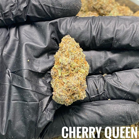 💙1.24 Cherry Queen