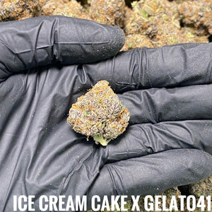 🆕21.6 Ice Cream Cake x Gelato 41