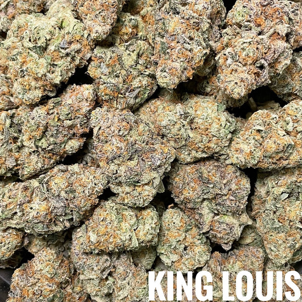 💙38.4 King Louis