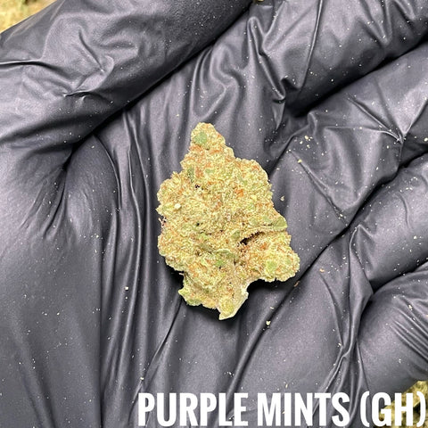 👍40.2 Purple Mints GH