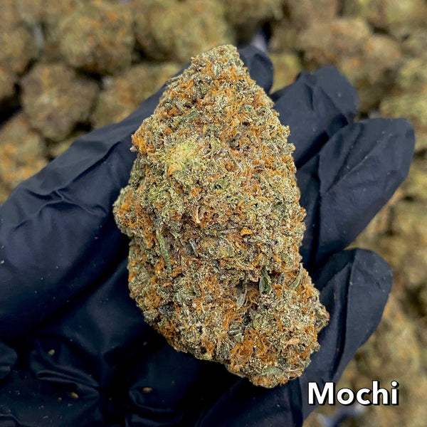 6.2 Mochi